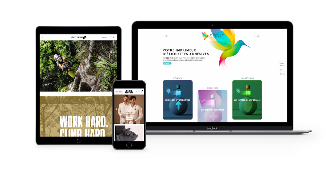 Web agency &agrave; Mont&eacute;limar dans la Dr&ocirc;me