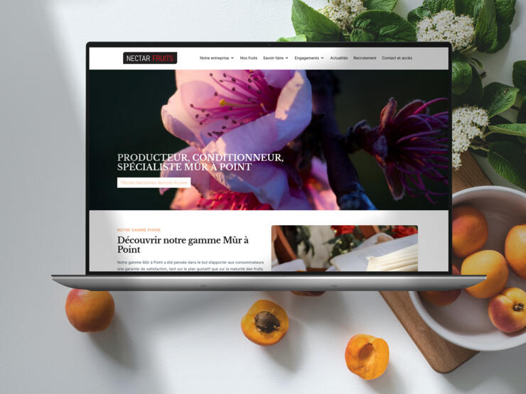 Nectar fruits : Grossiste en fruits et spécialiste du mûr à point Nectar fruits : Grossiste en fruits et spécialiste du mûr à point